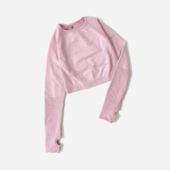 Seamless Women Yoga Sets Fitness Solid Crop Tops Sweatshirts High Waist Leggings