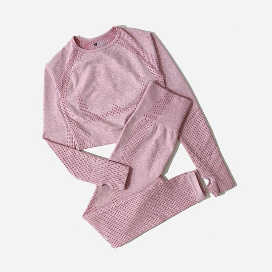 Seamless Women Yoga Sets Fitness Solid Crop Tops Sweatshirts High Waist Leggings