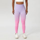 Seamless Sports Yoga Pants Women Leggings Hip Lifting High Waist Fade Color Wear