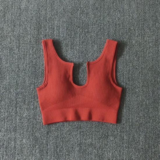 Padded Women Sport Bra Fitness Yoga Running Vest Underwear Solid Padded Crop Top