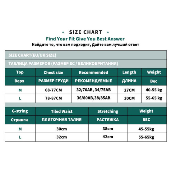 Seamless Women Bra Sets Sports Underwear V Neck Bralette High Waist Shorts Solid